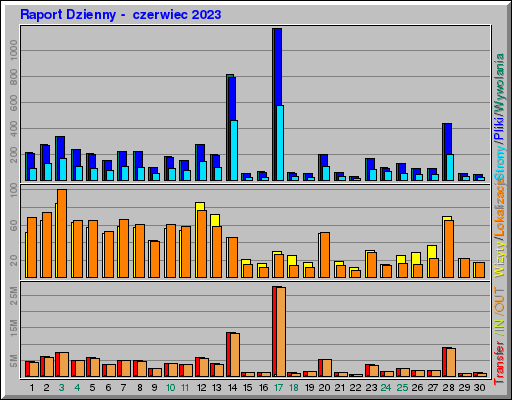 Raport Dzienny -  czerwiec 2023