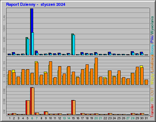 Raport Dzienny -  styczeń 2024