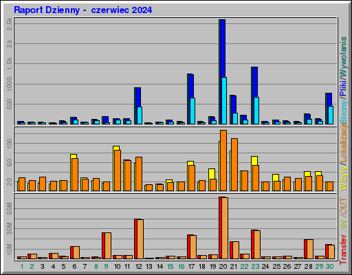 Raport Dzienny -  czerwiec 2024