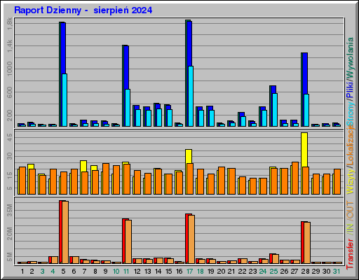 Raport Dzienny -  sierpień 2024