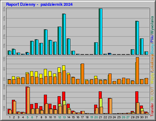 Raport Dzienny -  październik 2024