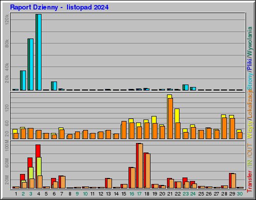 Raport Dzienny -  listopad 2024