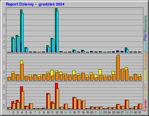 Raport Dzienny -  grudzień 2024