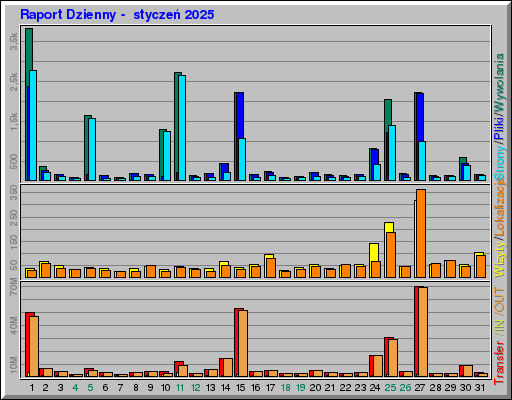 Raport Dzienny -  styczeń 2025