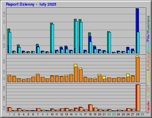 Raport Dzienny - luty 2025 Raport Dzienny - luty 2025
