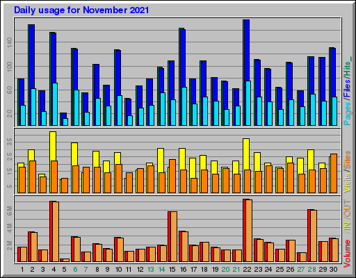 Raport Dzienny -  listopad 2021