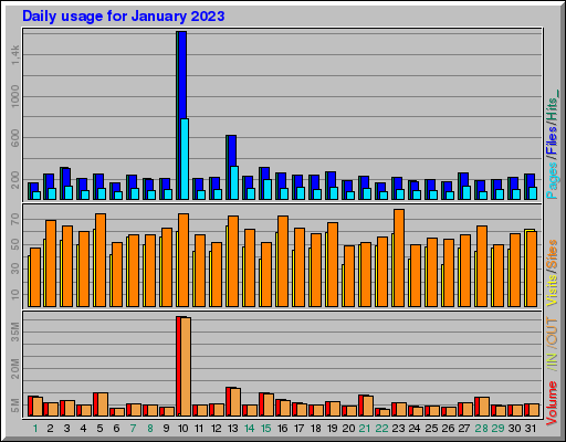 Raport Dzienny -  styczeń 2023