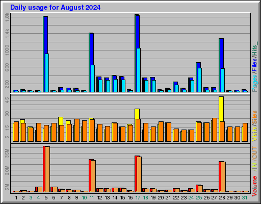 Raport Dzienny -  sierpień 2024