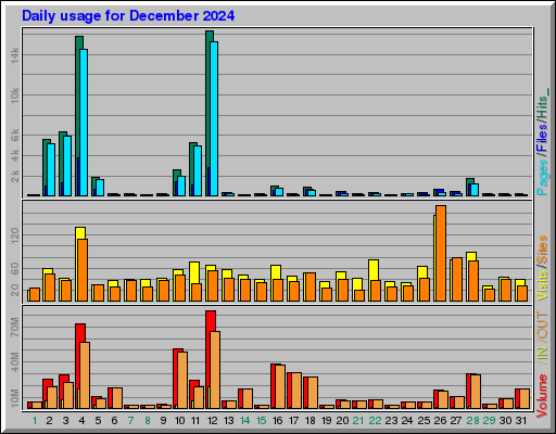 Raport Dzienny -  grudzień 2024