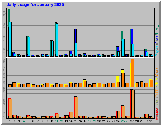 Raport Dzienny -  styczeń 2025