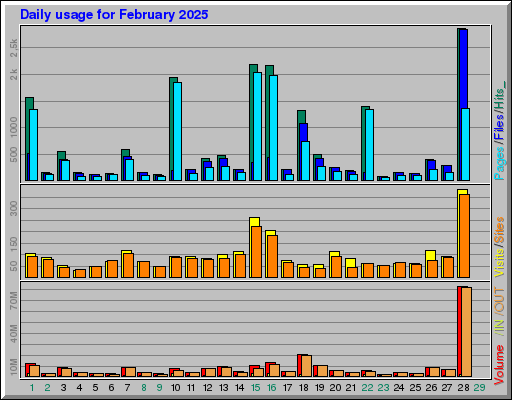 Raport Dzienny - luty 2025 Raport Dzienny - luty 2025