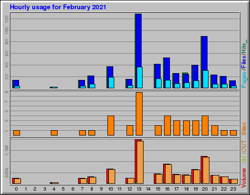 Raport Godzinowy -  luty 2021