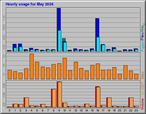 Raport Godzinowy -  Maj 2024