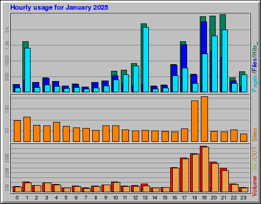Raport Godzinowy -  styczeń 2025