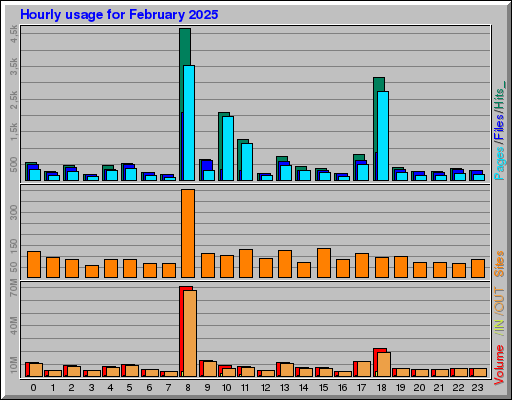 Raport Godzinowy - luty 2025 Raport Godzinowy - luty 2025