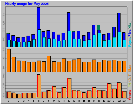 Raport Godzinowy -  Maj 2025