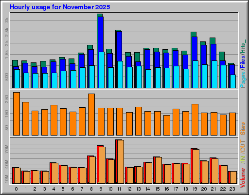 Raport Godzinowy -  listopad 2025