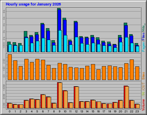 Raport Godzinowy - styczeń 2026 Raport Godzinowy - styczeń 2026