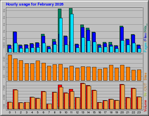 Raport Godzinowy - luty 2026 Raport Godzinowy - luty 2026