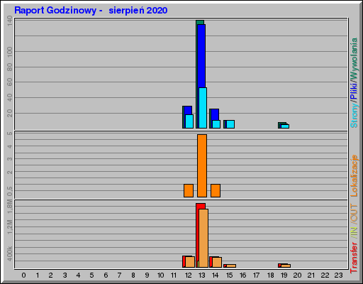 Raport Godzinowy -  sierpień 2020