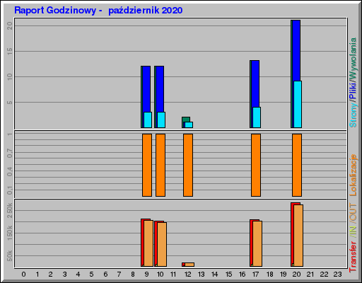 Raport Godzinowy -  październik 2020