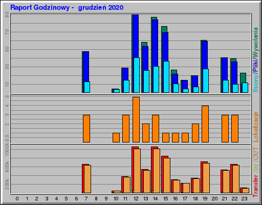 Raport Godzinowy -  grudzień 2020