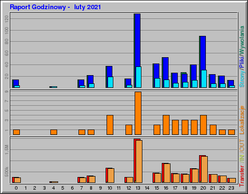 Raport Godzinowy -  luty 2021