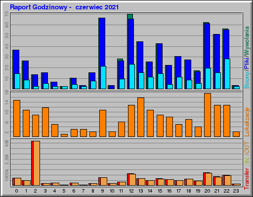 Raport Godzinowy -  czerwiec 2021