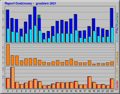 Raport Godzinowy -  grudzień 2021