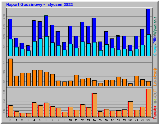 Raport Godzinowy -  styczeń 2022