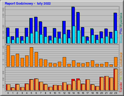 Raport Godzinowy -  luty 2022