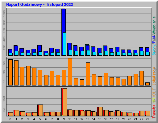 Raport Godzinowy -  listopad 2022