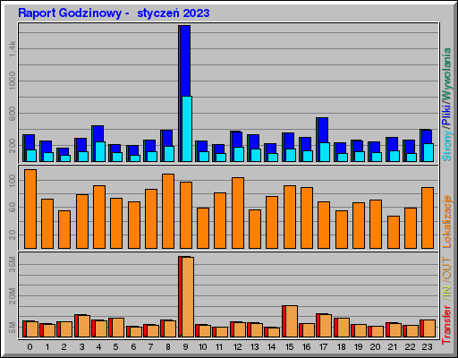 Raport Godzinowy -  styczeń 2023