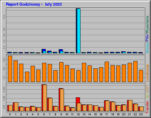 Raport Godzinowy -  luty 2023