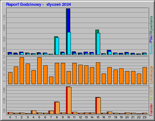 Raport Godzinowy -  styczeń 2024