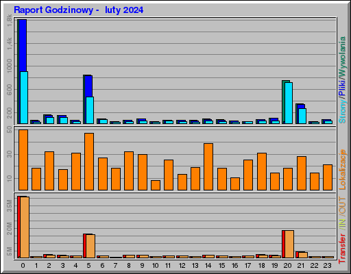 Raport Godzinowy -  luty 2024