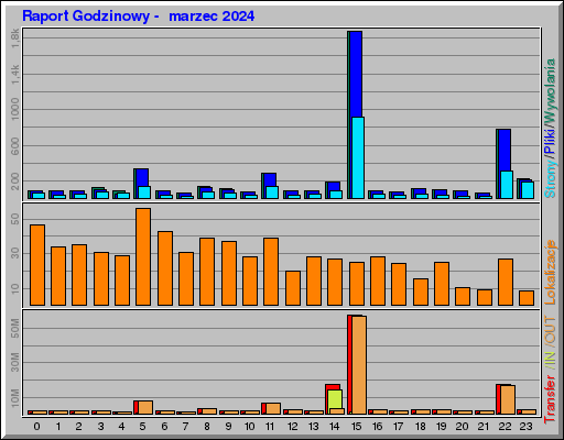 Raport Godzinowy -  marzec 2024