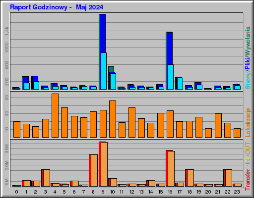 Raport Godzinowy -  Maj 2024