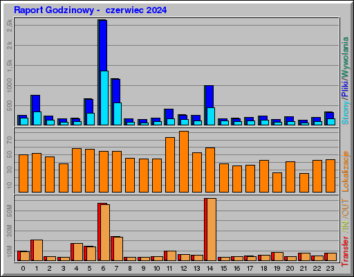 Raport Godzinowy -  czerwiec 2024