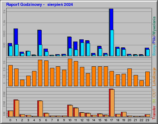 Raport Godzinowy -  sierpień 2024