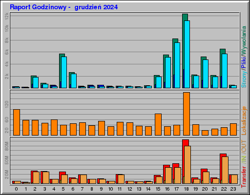 Raport Godzinowy -  grudzień 2024