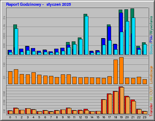 Raport Godzinowy -  styczeń 2025