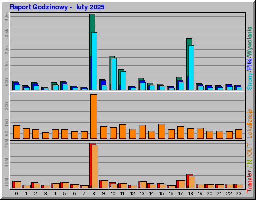 Raport Godzinowy - luty 2025 Raport Godzinowy - luty 2025