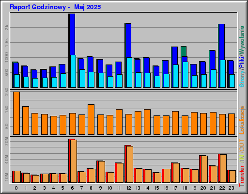 Raport Godzinowy -  Maj 2025