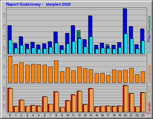 Raport Godzinowy -  sierpień 2025