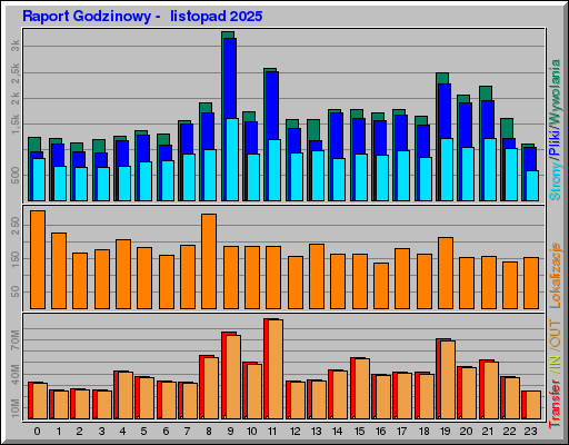 Raport Godzinowy -  listopad 2025