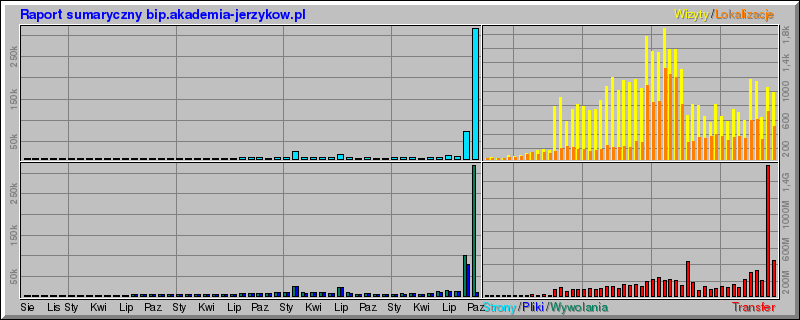 Usage summary for bip.akademia-jerzykow.pl