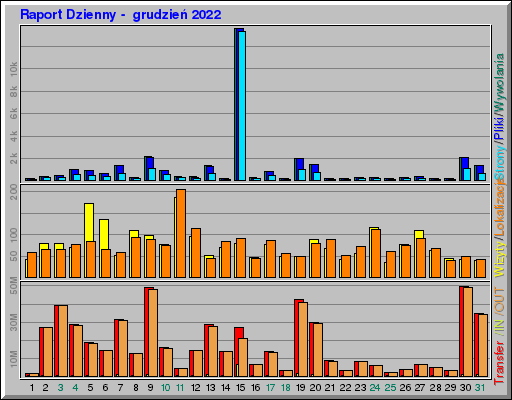 Raport Dzienny -  grudzień 2022