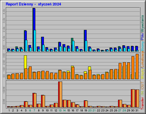 Raport Dzienny - styczeĹ 2024 Raport Dzienny - styczeĹ 2024