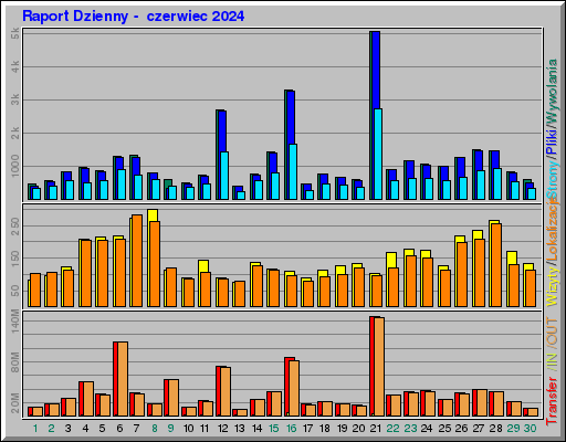 Raport Dzienny -  czerwiec 2024